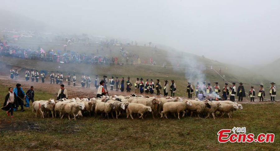 <?php echo strip_tags(addslashes(The opening ceremony of a sheep-shearing festival by the Yi people has been held in Meigu County, Southwest China's Sichuan Province. The Yi usually chose an auspicious day between late July and early August to hold the grand festival, which also includes sheep fighting, wrestling and horse racing. (Photo/China News Service))) ?>