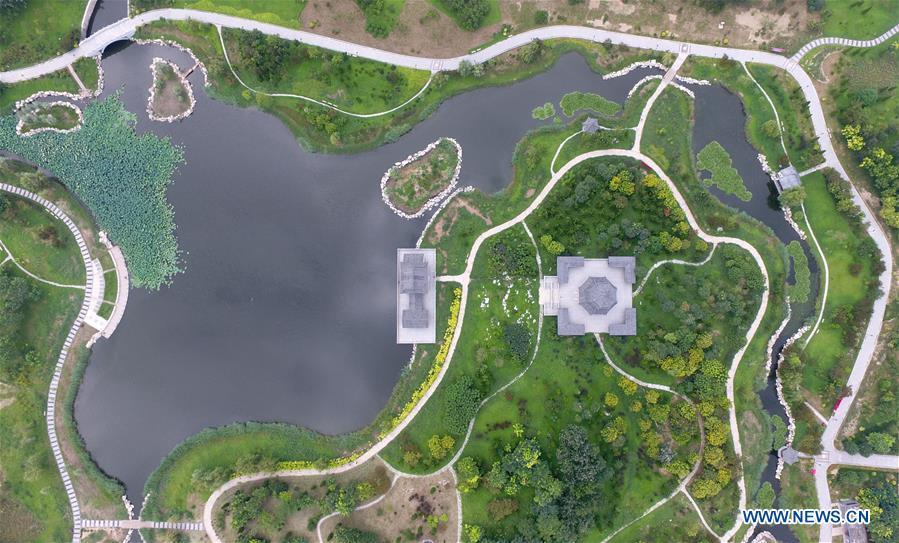 Aerial photo taken on Aug. 19, 2018 shows Yingzhou Park in Hejian City, north China\'s Hebei Province. Yingzhou Park, transformed from an abandoned sump, has become an ecological park covering 51 hectares of green space and 44 hectares of water area. (Xinhua/Zhu Xudong)