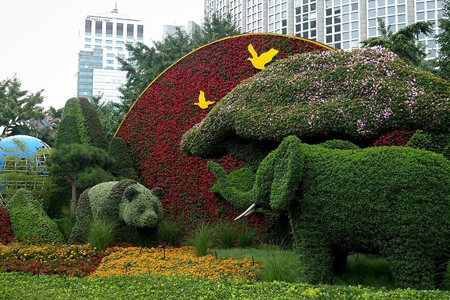 Photo taken on Aug. 22, 2018 shows a flower parterre in Beijing. Beijing is currently being decorated to welcome the upcoming 2018 Beijing Summit of the Forum on China-Africa Cooperation (FOCAC), which will be held on September 3-4. (Photo/People\'s Daily Online)