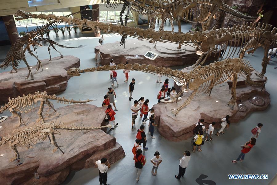 Children look at dinosaur fossils during a visit to the Anhui provincial geological museum in Hefei, east China\'s Anhui Province, Aug. 23, 2018. A local community organized a museum tour for children on Thursday. (Xinhua/Ge Yinian)