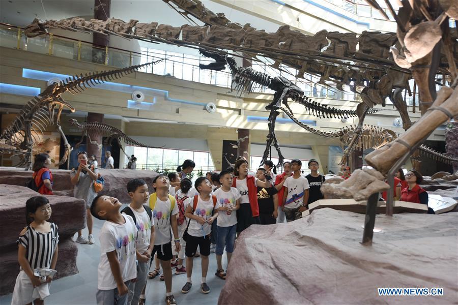Children look at dinosaur fossil models during a visit to the Anhui provincial geological museum in Hefei, east China\'s Anhui Province, Aug. 23, 2018. A local community organized a museum tour for children on Thursday. (Xinhua/Ge Yinian)
