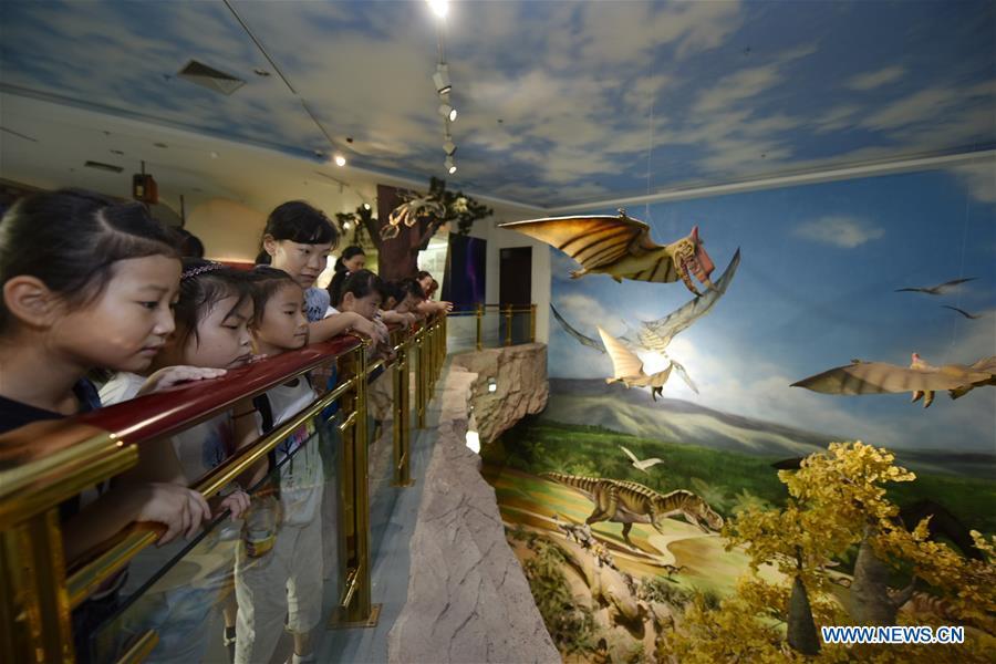 Children look at a dinosaur-themed exhibit during a visit to the Anhui provincial geological museum in Hefei, east China\'s Anhui Province, Aug. 23, 2018. A local community organized a museum tour for children on Thursday. (Xinhua/Ge Yinian)