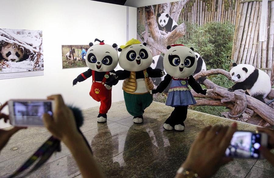 <?php echo strip_tags(addslashes(Workers promote the China Giant Panda International Culture Week in Beijing on Thursday. (Photo/CHINA DAILY)

<p>The top 50 entries will be selected before the finals, and the winner is expected to successfully combine Chinese and western art techniques.

<p>
