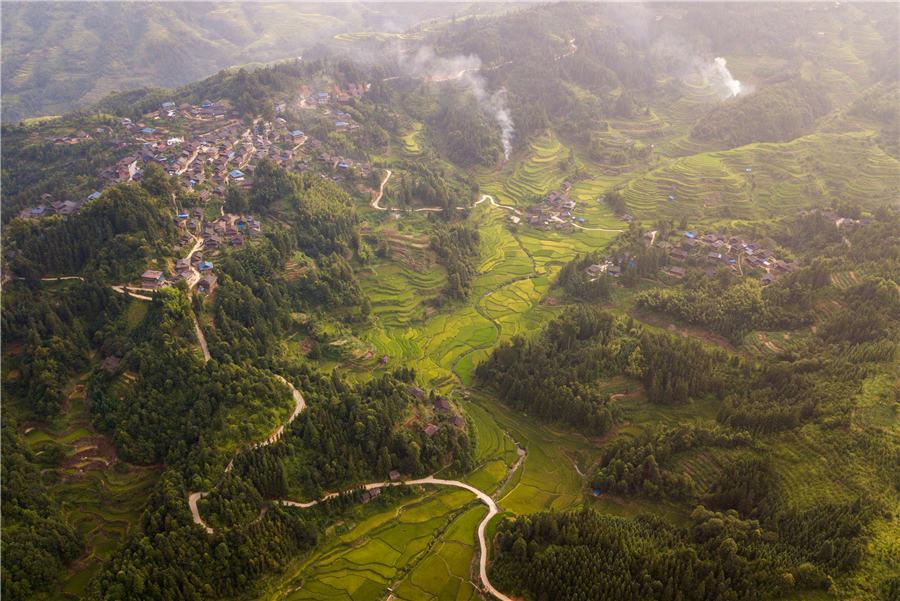 <?php echo strip_tags(addslashes(Terraced rice fields transform into greenish golden land in Congjiang county, Southwest China's Guizhou Province, Aug. 21, 2018. (Photo/Asianewsphoto))) ?>