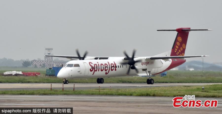 India\'s first biojet fuel aircraft, operated by SpiceJet, lands at Indira Gandhi International Airport in New Delhi, India, Aug. 27, 2018. The SpiceJet aircraft from Dehradun to Delhi had aviation regulator DGCA (Directorate General of Civil Aviation) officials along with other industry stakeholders on board, to ascertain the feasibility of biofuel-powered flights. (Photo/SipaPhoto)
