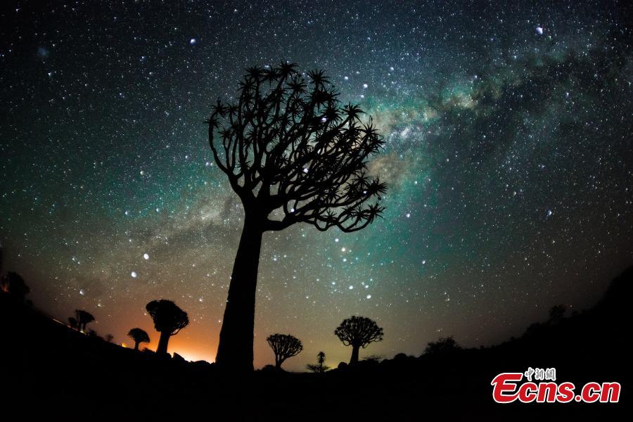 <?php echo strip_tags(addslashes(The spectacular starry night in Namib Desert. (Photo provided to China News Service))) ?>