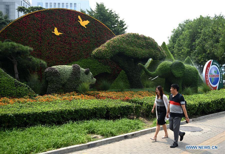 People walk past a parterre to greet the 2018 Beijing summit of the Forum on China-Africa Cooperation (FOCAC) in Beijing, capital of China, Aug. 28, 2018. The summit is scheduled for Sept. 3-4 in Beijing. (Xinhua/Luo Xiaoguang)