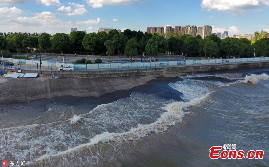 Waves surge in the Qiantang River in Hangzhou City, East China’s Zhejiang Province, Aug. 28, 2018.  High tides produced high waves in the Qiantang River on the eighteenth day of the seventh lunar month, on Aug. 28 this year. (Photo/IC)