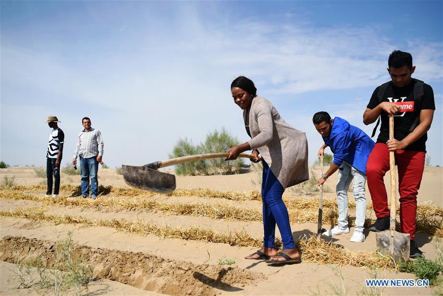 Nakanyala Elina Shekupe (3rd R) learns desert control in Minqin County, northwest China\'s Gansu Province, Aug. 26, 2018. Shekupe, 37, is an agricultural technology official from Namibia. She and 11 other students are taking part in a desertification combating and ecological restoration training course organized by China\'s Ministry of Commerce in Gansu. \