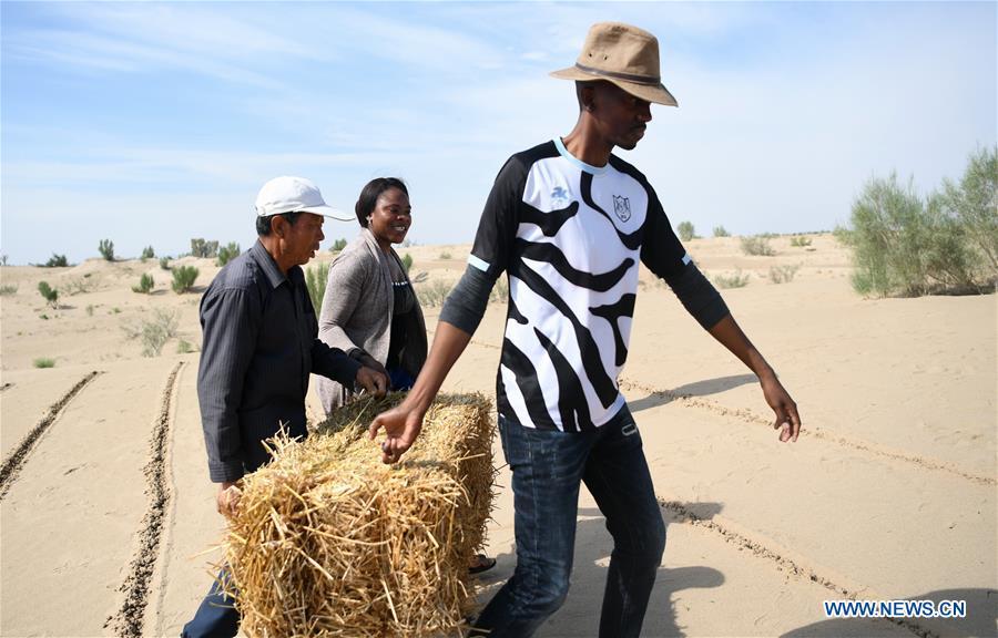 Nakanyala Elina Shekupe (C) learns desert control in Minqin County, northwest China\'s Gansu Province, Aug. 26, 2018. Shekupe, 37, is an agricultural technology official from Namibia. She and 11 other students are taking part in a desertification combating and ecological restoration training course organized by China\'s Ministry of Commerce in Gansu. \