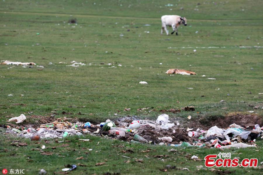 Garbage litters the shore of Sayram Lake in Xinjiang Uygur Autonomous Region, Aug. 26, 2018. The beautiful natural scenery near the lake has been tarnished by irresponsible tourists in the peak summer visiting season. (Photo/IC)