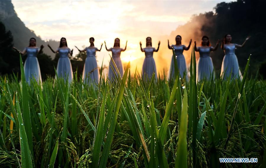 <?php echo strip_tags(addslashes(Performers sing songs beside rice fields during the Huanglong concert held at the Huanglongdong scenic spot in Wulingyuan District of Zhangjiajie, central China's Hunan Province, Aug. 26, 2018. (Xinhua/Wu Yongbing))) ?>