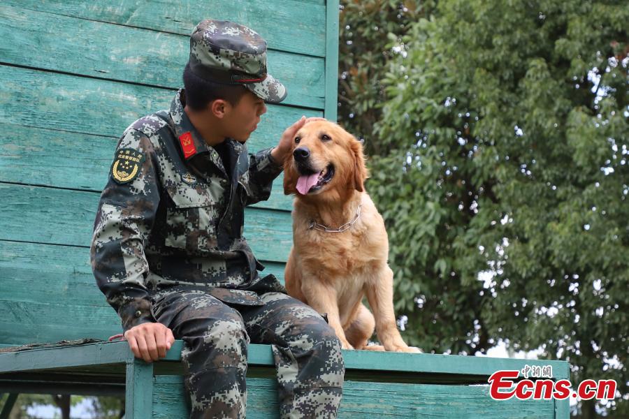 <?php echo strip_tags(addslashes(Armed police officer Han Menglin spends his last moments with a police dog at a training base before ending his military service in Guizhou Province, Aug. 31, 2018. (Photo: China News Service/Qu Honglun))) ?>