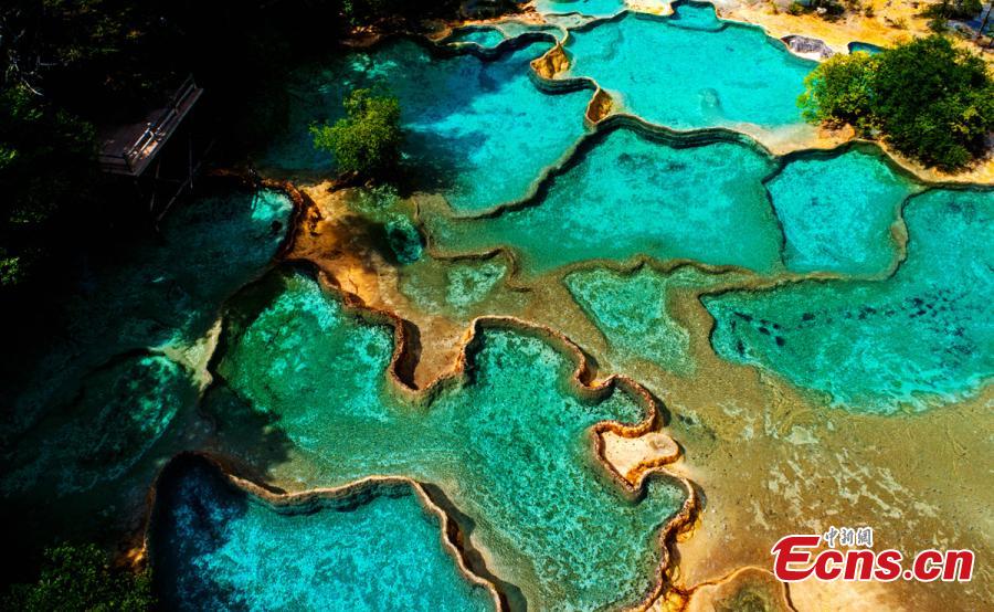 An aerial view of the Huanglong scenic area in Sichuan Province. A UNESCO World Heritage site, the area is known for its colorful pools formed by calcite deposits, especially in Huanglonggou (Yellow Dragon Gully), as well as diverse forest ecosystems, snow-capped peaks, waterfalls and hot springs. The Wucai Pond (Five-Colored Pond) is one of its top attractions. (Photo: China News Service/Yang Jian)