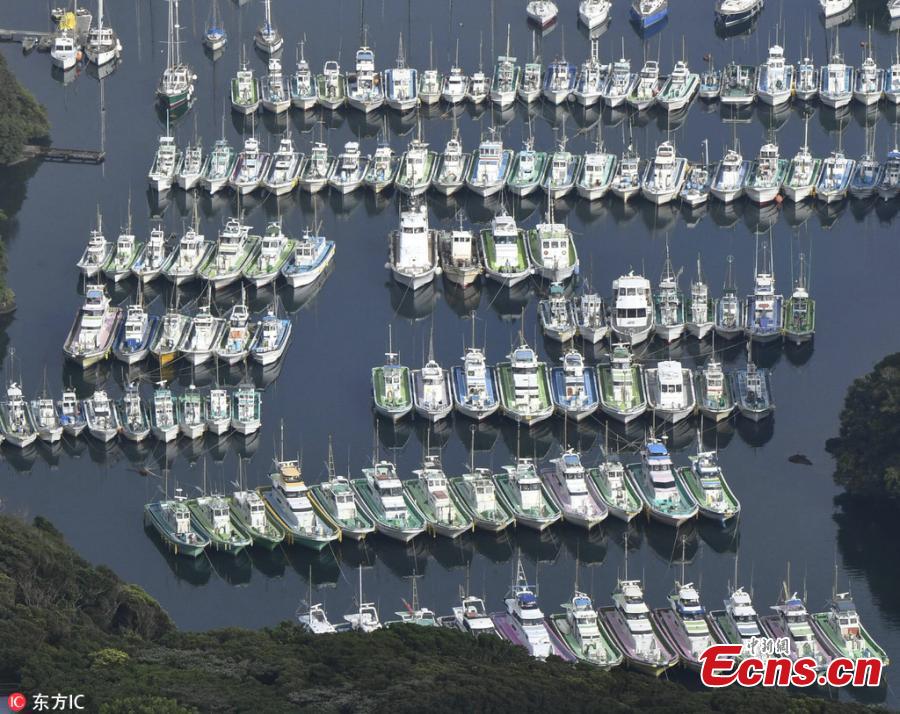 An aerial photo shows fishing boats and other ships park at Aburatsubo Port that is designated as an evaluation place as the typhoon Jebi approaches in Miura City, Kanagawa Prefecture, Japan, Sep.3, 2018. It is the strongest typhoon of 2018 approaching Japan. (Photo/IC)