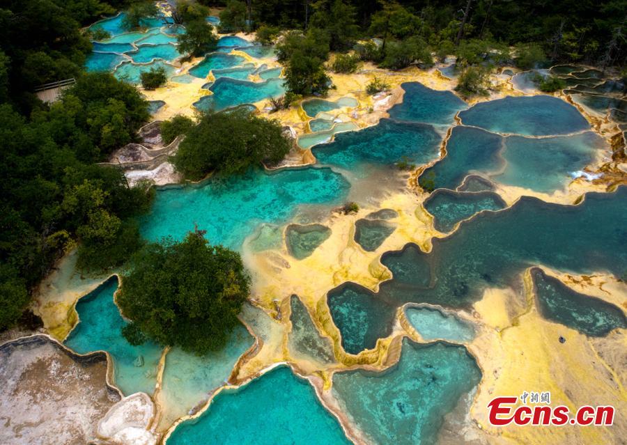 An aerial view of the Huanglong scenic area in Sichuan Province. A UNESCO World Heritage site, the area is known for its colorful pools formed by calcite deposits, especially in Huanglonggou (Yellow Dragon Gully), as well as diverse forest ecosystems, snow-capped peaks, waterfalls and hot springs. The Wucai Pond (Five-Colored Pond) is one of its top attractions. (Photo: China News Service/Yang Jian)