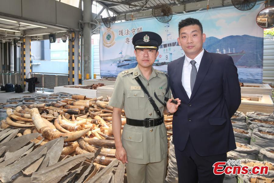 Seized endangered species are seen at a press conference held in Hong Kong on September 5, 2018. Endangered species worth HK$19 million have been seized and 82 suspected arrested in a joint operation by Hong Kong Customs and the Fisheries and Conservation Department (AFCD).(Photo: China News Service/ Xie Guanglei)