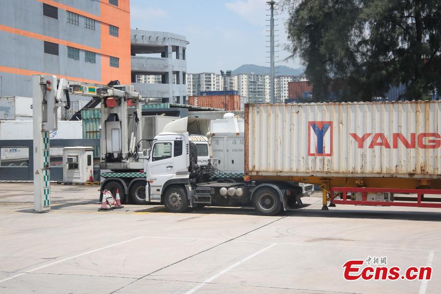 Seized endangered species are seen at a press conference held in Hong Kong on September 5, 2018. Endangered species worth HK$19 million have been seized and 82 suspected arrested in a joint operation by Hong Kong Customs and the Fisheries and Conservation Department (AFCD).(Photo: China News Service/ Xie Guanglei)
