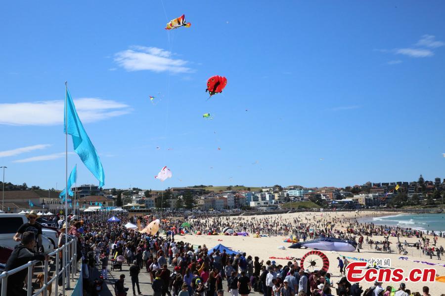 Visitors look at kites during the 40th Kite Flying Festival at Bondi Beach, Sydney, Australia, Sept. 9, 2018. (Photo: China News Service/Tao Shelan).