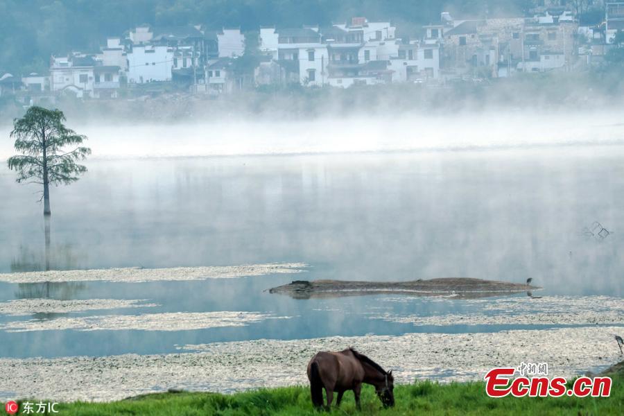 Mist drifts over Qishu Lake in Huangshan City in Anhui Province, Sept. 9, 2018. Surrounded by mountains, the lake is located two kilometers east of Hongcun Village, a UNESCO heritage site, and it is a tourist attraction known for its beautiful natural landscape. (Photo/IC)