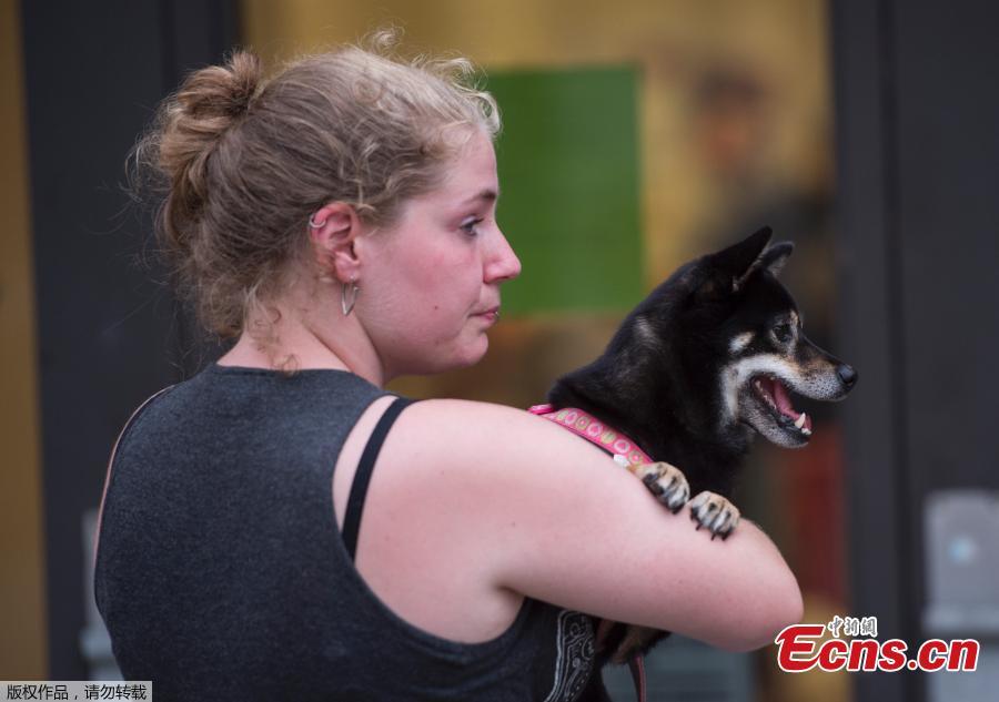 A woman holds her dog as she waits to enter a hurricane shelter at Trask Middle School in Wilmington, North Carolina, Sept. 11, 2018. Hurricane Florence would deliver a \'direct hit\' to the US East Coast, emergency officials warned. More than one million people in North Carolina, South Carolina and Virginia have been told to flee their homes as the hurricane churns across the Atlantic Ocean towards the coast. (Photo/Agencies)