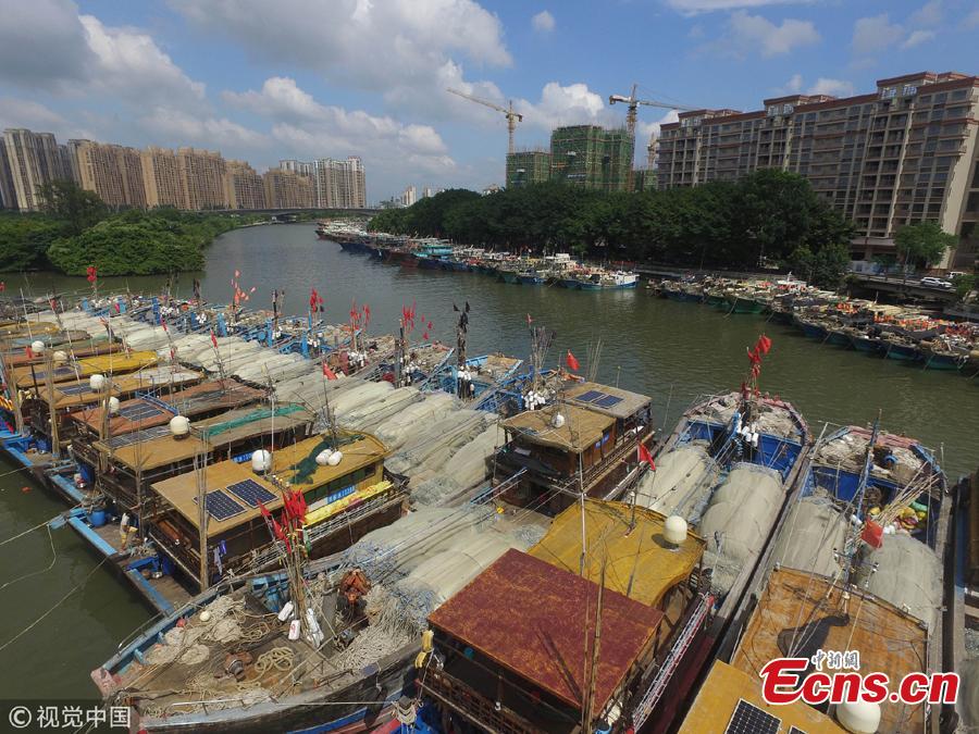 Fishing boats are anchored at a port in preparation for Typhoon Mangkut in Zhongshan City, South China’s Guangdong Province, Sept. 13, 2018. The typhoon is expected to bring strong winds and rain as it lands over the weekend. (Photo/VCG)
