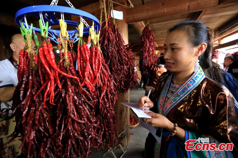 A pepper contest is held at a Miao village in Rongshui Miao Autonomous County, Southwest China’s Guangxi Zhuang Autonomous Region, Sept. 16, 2018. More than 40 Miao women brought their own peppers to participate in the contest to select the best one. Pepper planting has become an important industry for poverty alleviation in the village. (Photo: China News Service/Shi Feng)