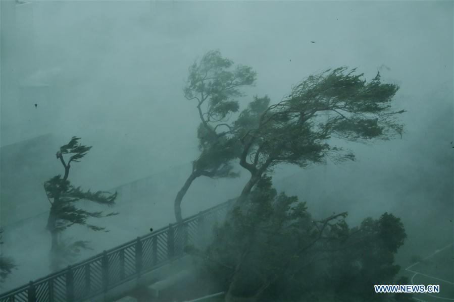 Photo taken on Sept. 16, 2018 shows trees in the wind on the seaside in Hong Kong, south China. The Hong Kong Observatory issued the No. 10 hurricane signal, the top level warning, at 9:40 a.m. on Sunday, as severe typhoon Mangkhut is near. (Xinhua/Wang Shen)