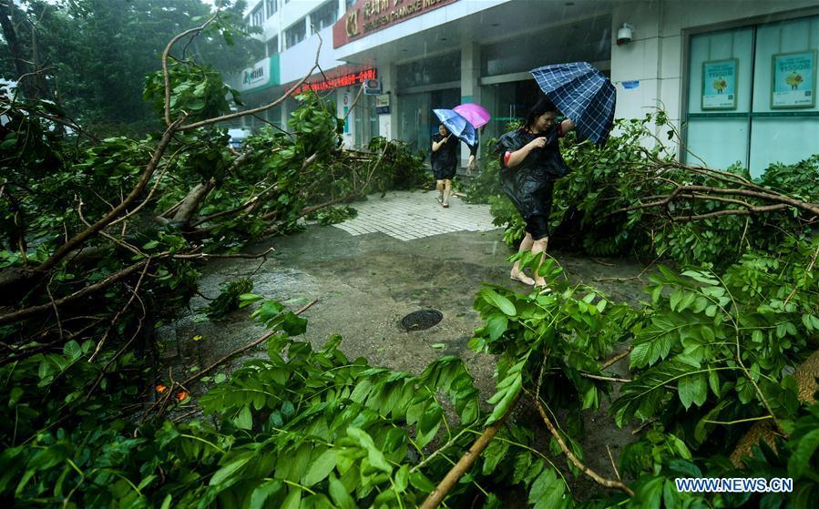 Pedestrians walk past broken branches at Nanshan District in Shenzhen, south China\'s Guangdong Province, Sept. 16, 2018. According to China\'s National Meteorological Center, Mangkhut is expected to land in Guangdong between Sunday afternoon and evening. (Xinhua/Mao Siqian)