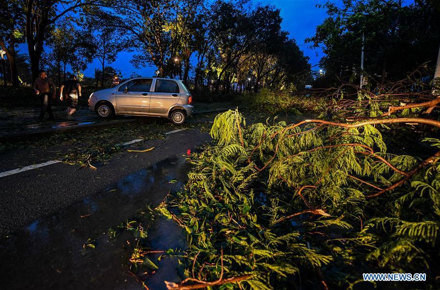 Photo taken on Sept. 16, 2018 shows broken trees in Shenzhen, south China\'s Guangdong Province. Super Typhoon Mangkhut landed at 5 p.m. on Sunday on the coast of Jiangmen City, south China\'s Guangdong Province, packing winds up to 162 km per hour, according to the provincial meteorological station. (Xinhua/Mao Siqian)