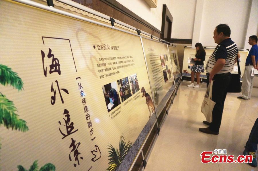 A collection of fossils returned from overseas has been displayed at a hotel in the city of Zhengzhou, capital of central China\'s Henan Province, on Monday. The nine exhibits include fossils of Beibeilong sinensis, Gansu tortoise, confuciusornis, a smilodon skull, and manchurochelys, with huge value to scientific research according to fossil experts.The Beibeilong sinensis fossil, a kind of dinosaur egg excavated in Henan in 1993, attracted the most attention among visitors. Measuring 118 cm long, it dates back at least 86 million years and was overseas for more than 20 years. In 2013, the fossil was returned to China and displayed in the Henan Geological Museum.(Photo: China News Service/ Han Zhangyun)