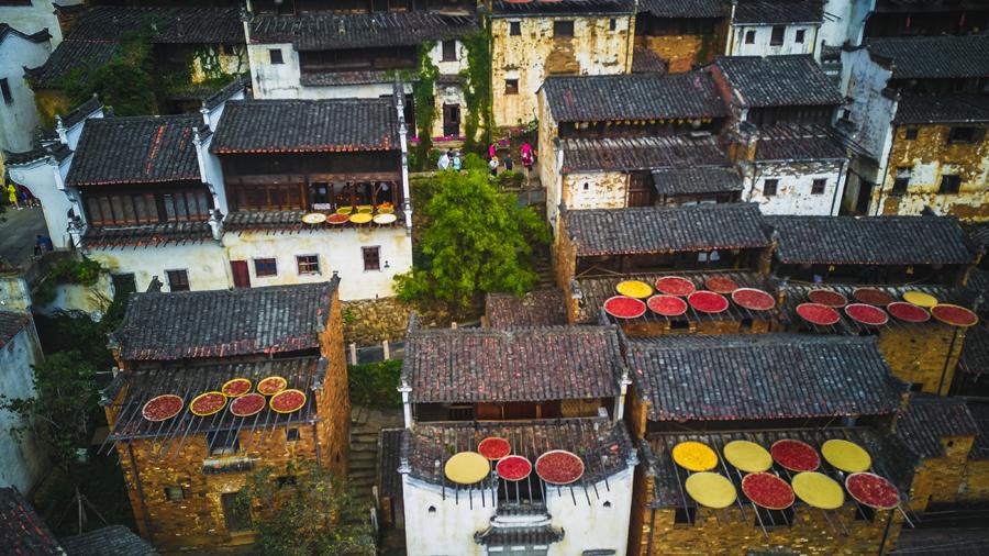 Huangling village in Wuyuan county, East China\'s Jiangxi Province, glitters with an autumn harvest glow, Sept. 15, 2018. (Photo/chinadaily.com.cn)