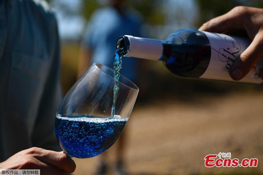 Picture shows bottles of Spanish blue wine \'Gik Life\' being produced at \'Gik\' company\'s winery in Maluenda, Aragon region, Sept. 13, 2018. (Photo/Agencies)