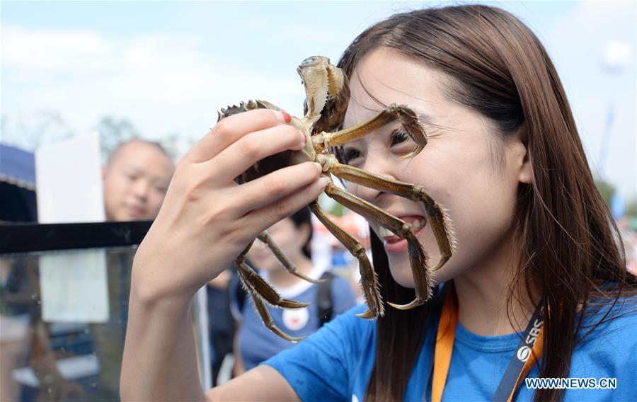 A tourist shows a freshly caught Chinese mitten crab during a tourist festival held ashore the Yangcheng Lake in Xiangcheng District of Suzhou, east China\'s Jiangsu Province, Sept. 19, 2018. The Chinese mitten crabs inhabiting Suzhou\'s Yangcheng Lake are a popular cooking ingredient for many food lovers. In the annual event which kicked off here on Wednesday, tourists will be able to have a taste of this year\'s first Chinese mitten crabs ready to serve the table, while the official netting of Yangcheng Lake crabs will begin on Sept. 21. (Xinhua/Hao Qunying)