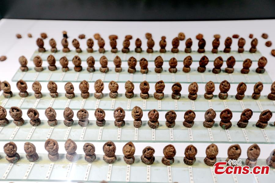 Cai Qingzhu’s nut carvings featuring the 108 characters in the Chinese novel Water Margin is displayed at an exhibition in a museum in Xi’an City, Northwest China’s Shaanxi Province, Sept. 25, 2018. It took Cai, 55, two years to finish the carvings. Nut carving, the miniature folk art of carving fruit and nut pits, has been practiced in China for centuries. (Photo: China News Service/Zhang Yuan)