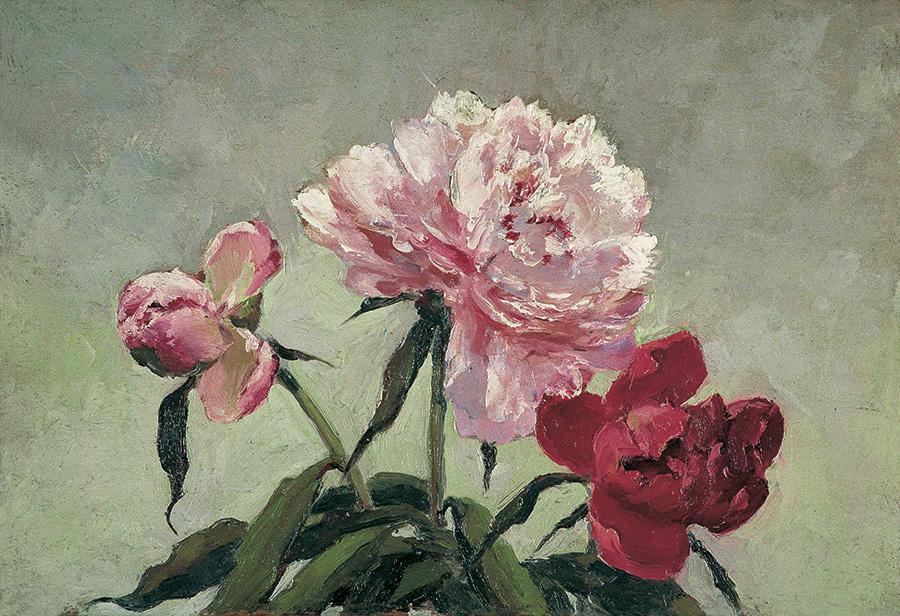 Chinese herbaceous peonies (Photo provided to China Daily)