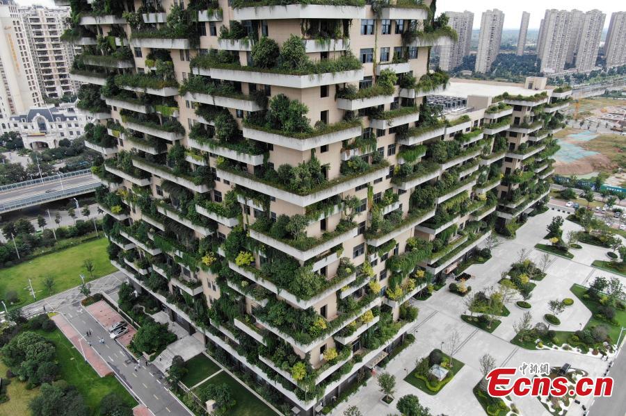 A drone photo shows a building covered with plants in Jurong City, East China’s Jiangsu Province, Sept. 26, 2018. The building looks like a vertical forest. (Photo: China News Service/Yang Bo)