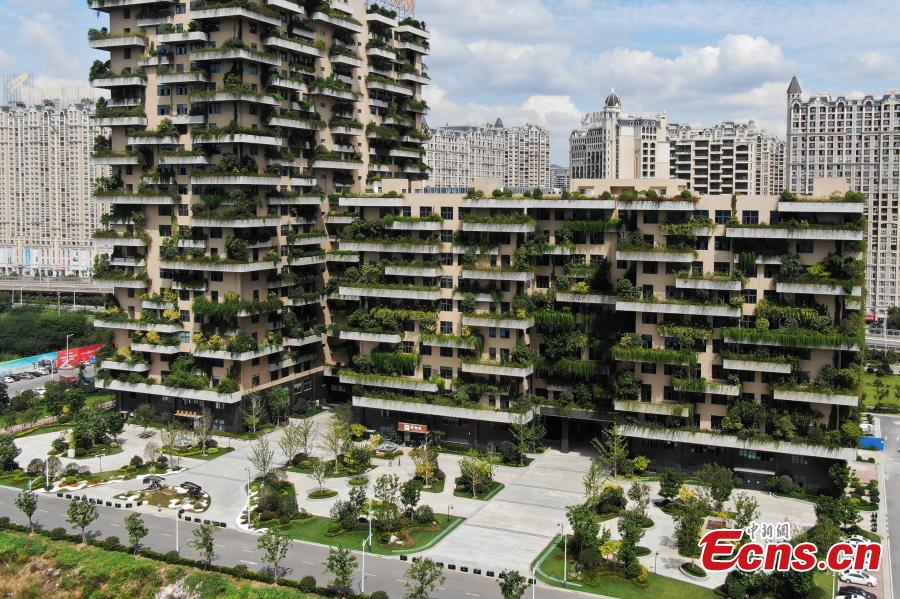 A drone photo shows a building covered with plants in Jurong City, East China’s Jiangsu Province, Sept. 26, 2018. The building looks like a vertical forest. (Photo: China News Service/Yang Bo)