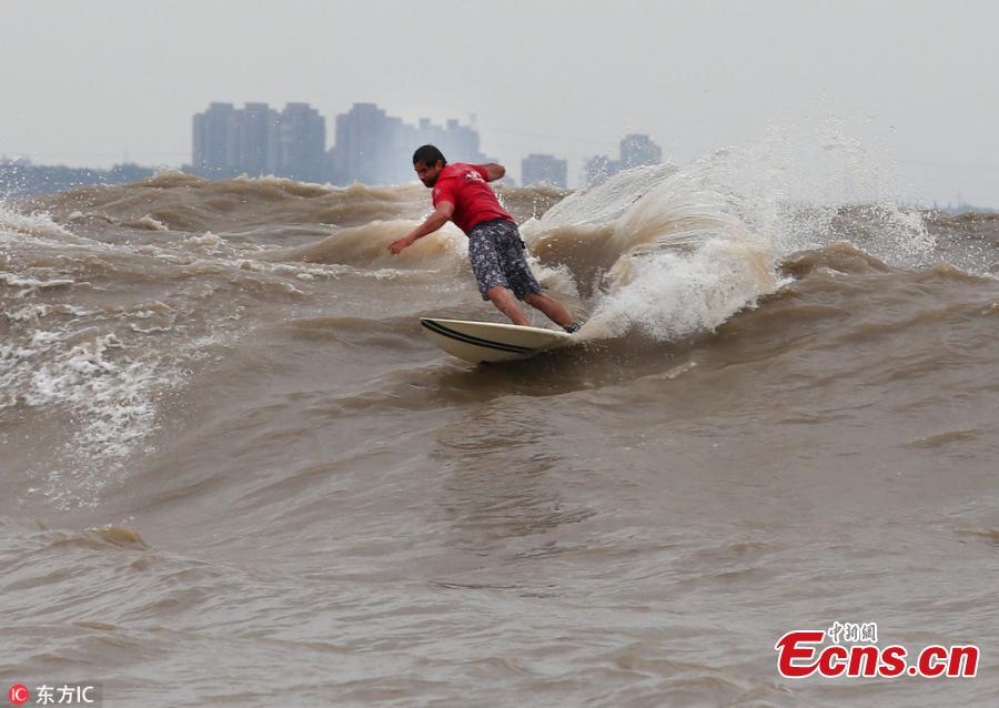 A surfer rides a wave on the Qiantang River in Hangzhou City, East China’s Zhejiang Province, Sept. 26, 2018. More than 100 participants from 11 countries including China, Spain, Australia, the United States, South Africa, Brazil, France and Indonesia participated in the surfing competition. The tidal bores on the river have become a popular tourist attraction in China. (Photo/IC)