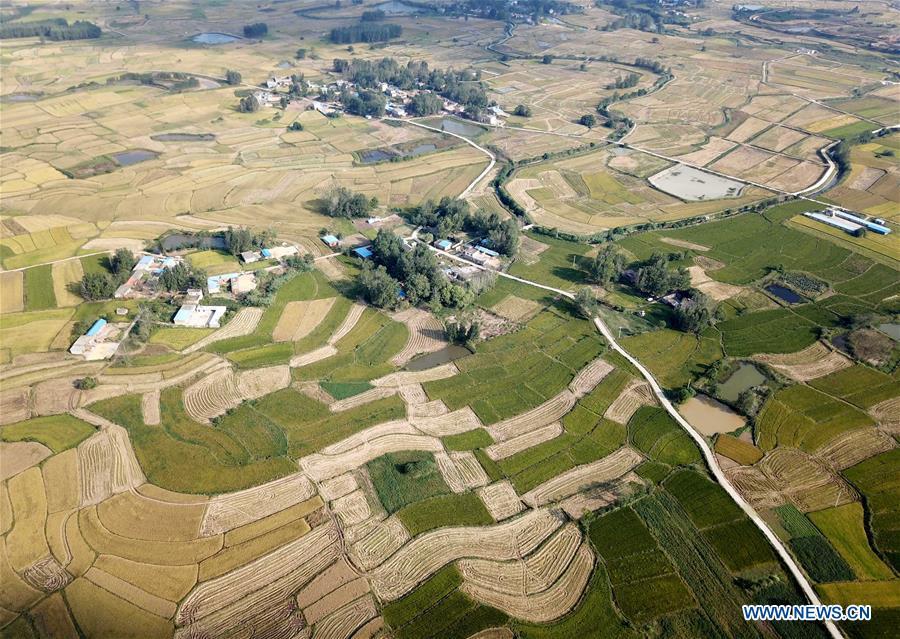 Aerial photo taken on Sept. 26, 2018 shows the rice fields of Xiaogang Village in Fengyang County, east China\'s Anhui Province. Xiaogang, known as cradle of China\'s rural reform, witnessed great change in the past 40 years. (Xinhua/Liu Junxi)
