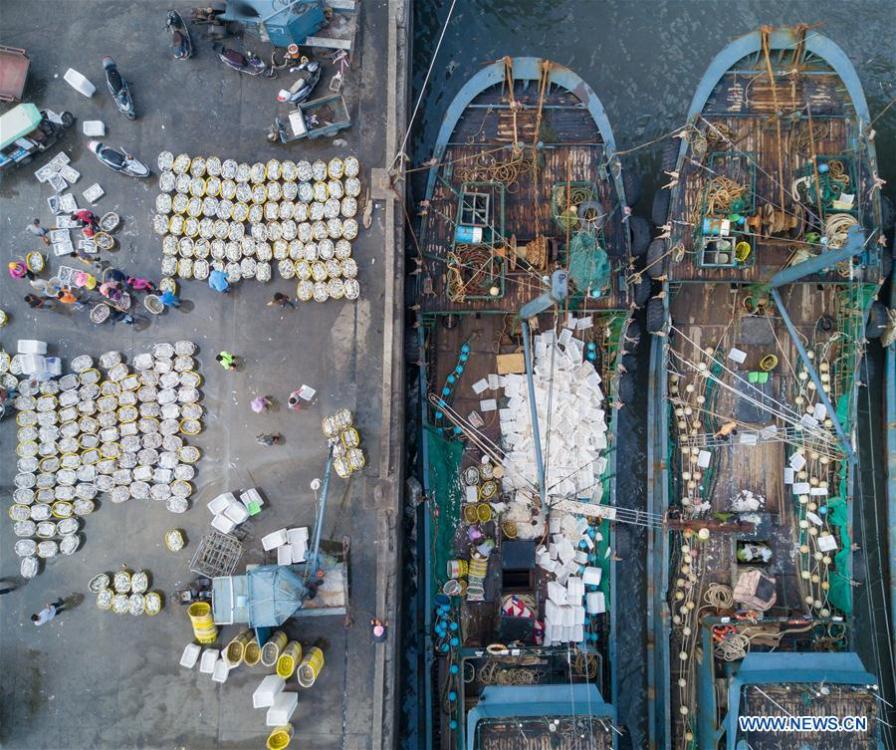 <?php echo strip_tags(addslashes(Fishermen work at Xiangzhi fishing port in Shishi, southeast China's Fujian Province, Oct. 2, 2018. (Xinhua/Song Weiwei))) ?>
