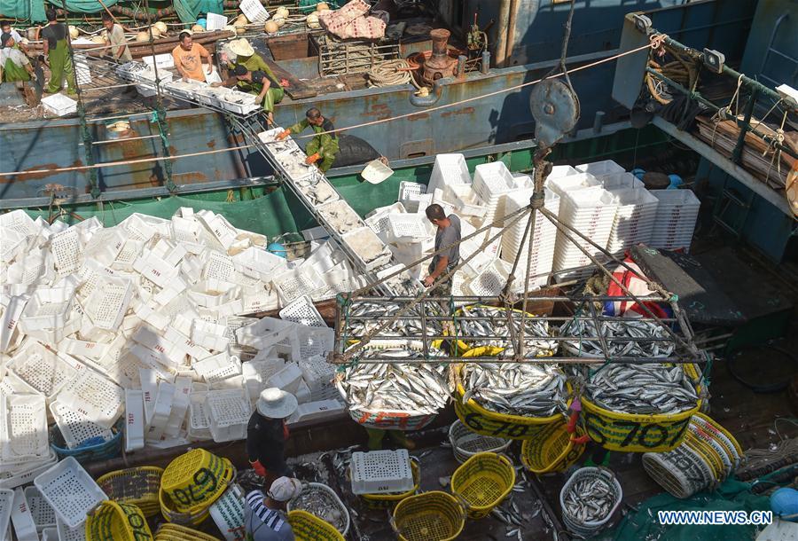 <?php echo strip_tags(addslashes(Newly-caught fish are lifted by a crane at Xiangzhi fishing port in Shishi, southeast China's Fujian Province, Oct. 2, 2018. (Xinhua/Song Weiwei))) ?>