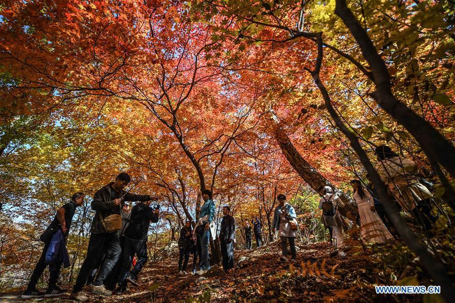 <?php echo strip_tags(addslashes(Tourists visit Laobiangou scenic spot during the week-long National Day holiday in Benxi, northeast China's Liaoning Province, Oct. 5, 2018. (Xinhua/Pan Yulong))) ?>