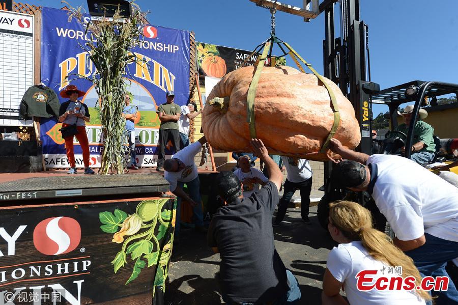 A view of the 45th Annual Safeway World Championship Pumpkin Weigh-Off in Half Moon Bay, California, Oct. 8, 2018. (Photo/Agencies)