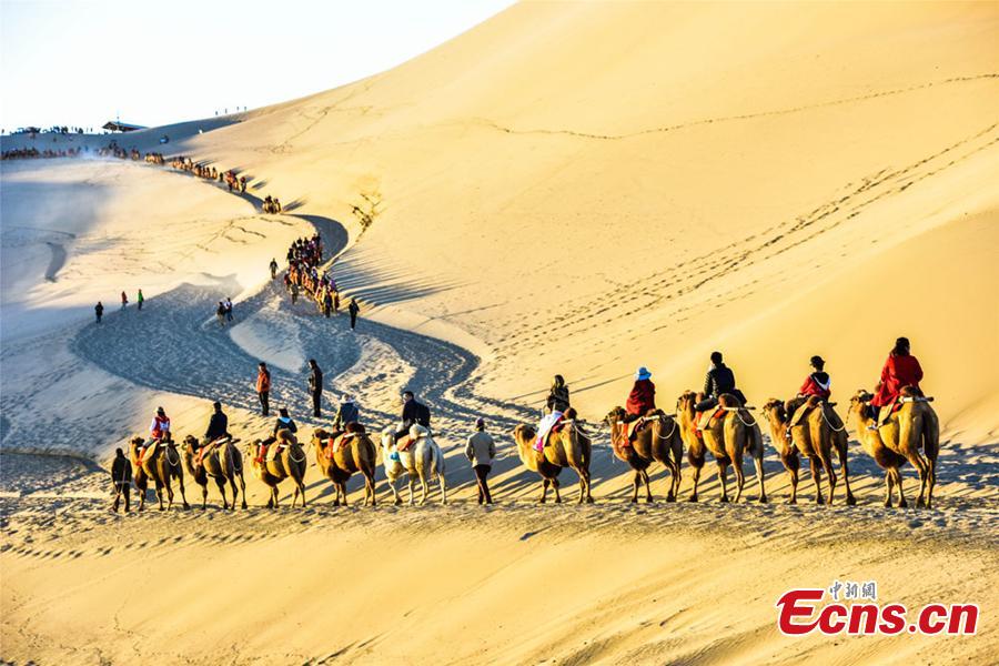 Tourists ride camels in a tour of the Mingsha Hill scenic spot in the Gobi Desert in Dunhuang City, Northwest China\'s Gansu Province, during the National Day holiday from Oct. 1 to 7. Consisting of a group of sand dunes, the Mingsha Hill, with a name that means \'singing sand\', is famous for its desert scenery and the mysterious sound made by the wind as it blows over its surface. The scenic spot attracted 307,900 tourists during the holiday, a year-on-year growth of nine percent, and achieved a tourism revenue of 330 million yuan ($47.7 million), up 10 percent on the same period last year. (Photo: China News Service/Wang Binyin)