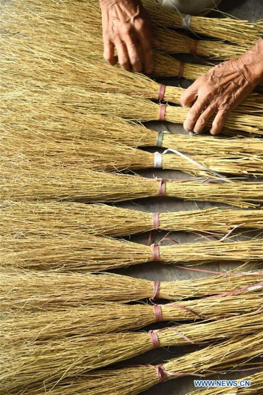 Yang Hanlin prepares bundles of broomstick fibers in Sanhegou Village of Xuan\'en County, Enshi Tujia and Miao Autonomous Prefecture, central China\'s Hubei Province, Oct. 7, 2018. Every seven fiber bundles will make one of Yang\'s broomsticks. An 81-year-old local artisan, Yang Hanlin has committed himself to the making of broomsticks for decades. Produced under a set of strict standards, Yang\'s broomsticks are known for their durability. Over the years, Yang has set up a few more workshops to involve local villagers in the broomstick production as a means to raise their income levels. (Xinhua/Song Wen)