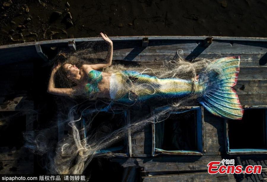Model Anastasia Slobodchikova poses wearing a mermaid tail costume on Russky Island in the Akhlestysheva Bay off Vladivostok, Oct. 3, 2018. (Photo/Sipaphoto)