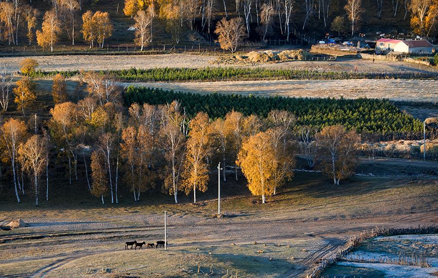 <?php echo strip_tags(addslashes(Mesmerizing autumn scenery of Wulan Butong Grassland in North China's Inner Mongolia. (Photo/China Daily))) ?>