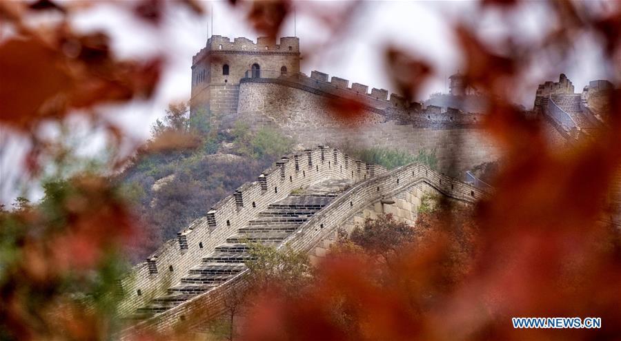 <?php echo strip_tags(addslashes(A section of the Badaling Great Wall is pictured through maple leaves in Yanqing District of Beijing, capital of China, Oct. 10, 2018. (Xinhua/Li Xin))) ?>
