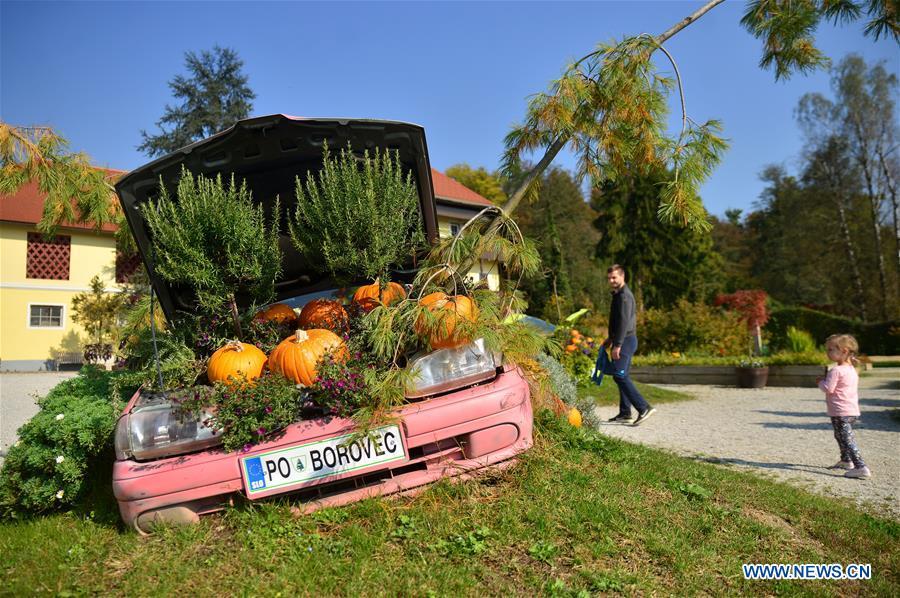 <?php echo strip_tags(addslashes(Colorful pumpkins are displayed during a funny pumpkin exhibition at a botanic park some 20 km away from Ljubljana, Slovenia, Oct. 13, 2018. A funny pumpkin exhibition was held there recently to celebrate the pumpkin harvest season. (Xinhua/Matic Stojs))) ?>